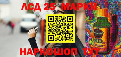 Альфа ПВП Новодвинск
