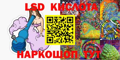 Альфа ПВП Новодвинск
