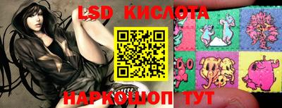 винт Новозыбков