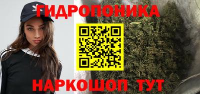 Альфа ПВП Новодвинск