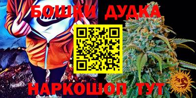 молекула духа Новокубанск