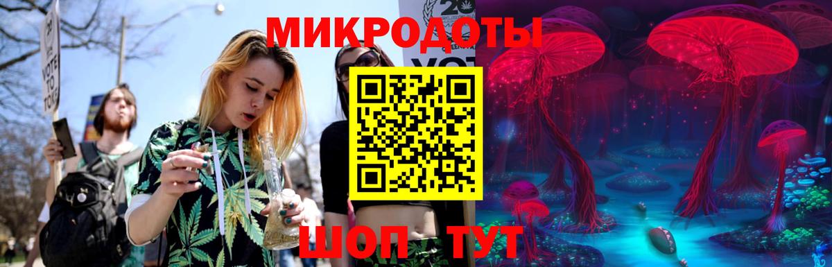 Псилоцибиновые грибы Psilocybe Сосновоборск